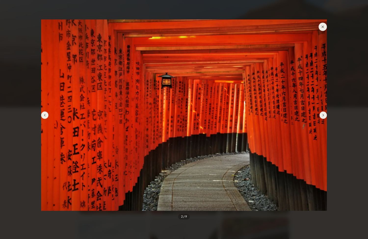 Full-screen photo viewer on a public trip page